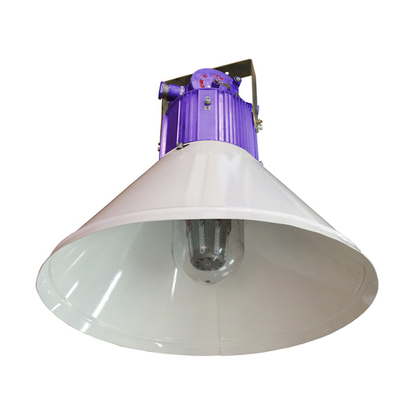 Светильник квант 3.СП2-1/30-ДЛ.АС127/220.L180-PBEхdlMbX/1ExdIICT6GbX.УХЛ1,5 ТУ с кабельным вводом ВКА-G3/4 18П